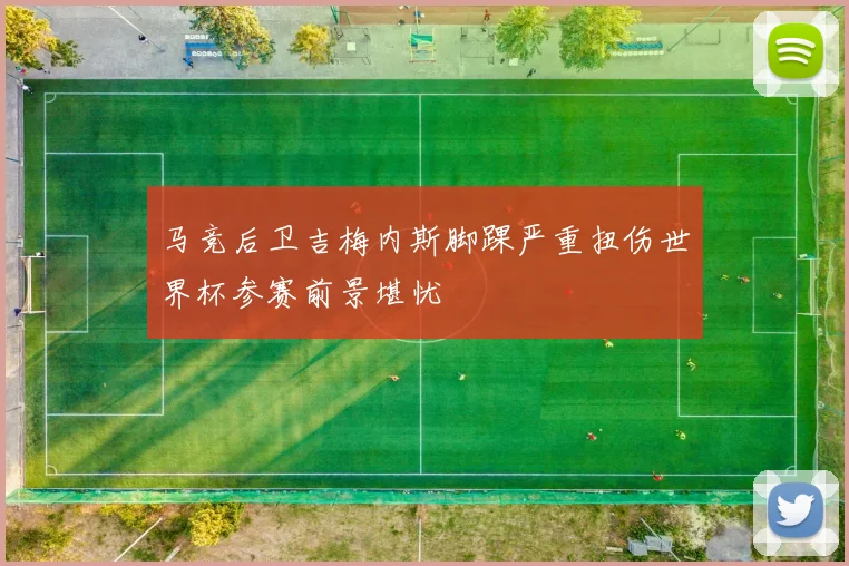 马竞后卫吉梅内斯脚踝严重扭伤世界杯参赛前景堪忧
